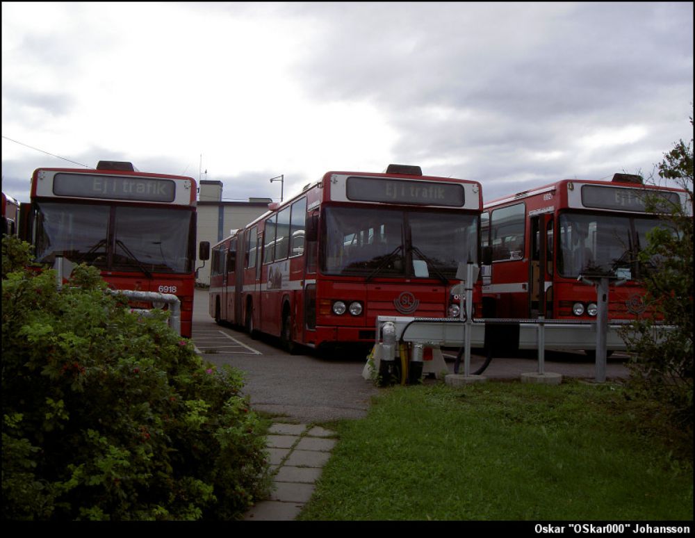 c6926.jpg