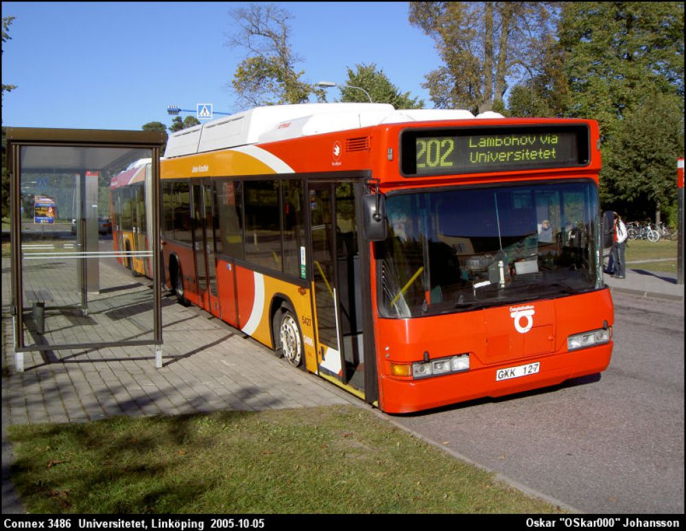 c3486punka2.jpg