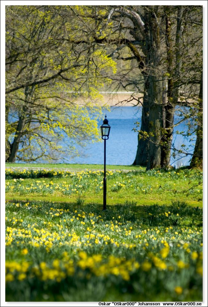 lampa.jpg