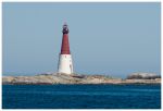 _DSC0085.jpg