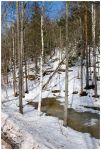 _DSC7784.jpg
