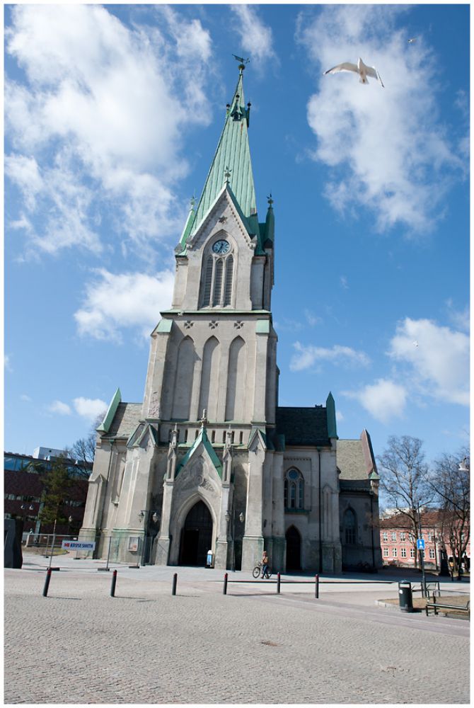 _dsc2035_sm.jpg