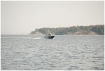 Klicka för att visa stor bild _dsc2773_sm.jpg