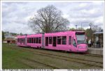 rbk757_rosa.jpg